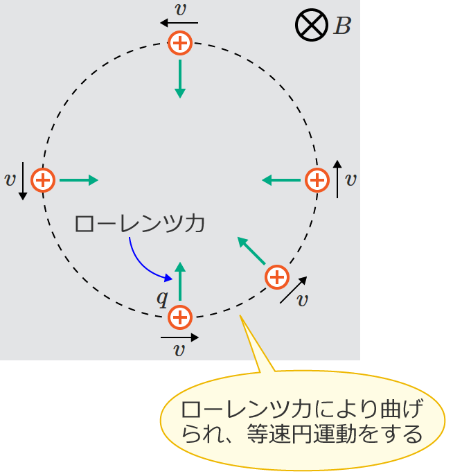 �דd���q�̓��[�����c�͂ɂ�蓙���~�^��������