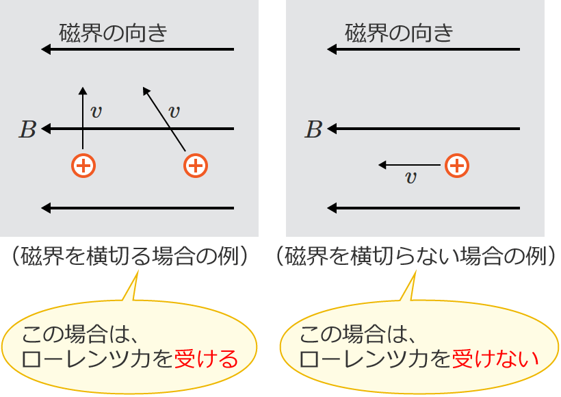 ���[�����c�͂��󂯂�ꍇ�Ǝ󂯂Ȃ��ꍇ�̗�