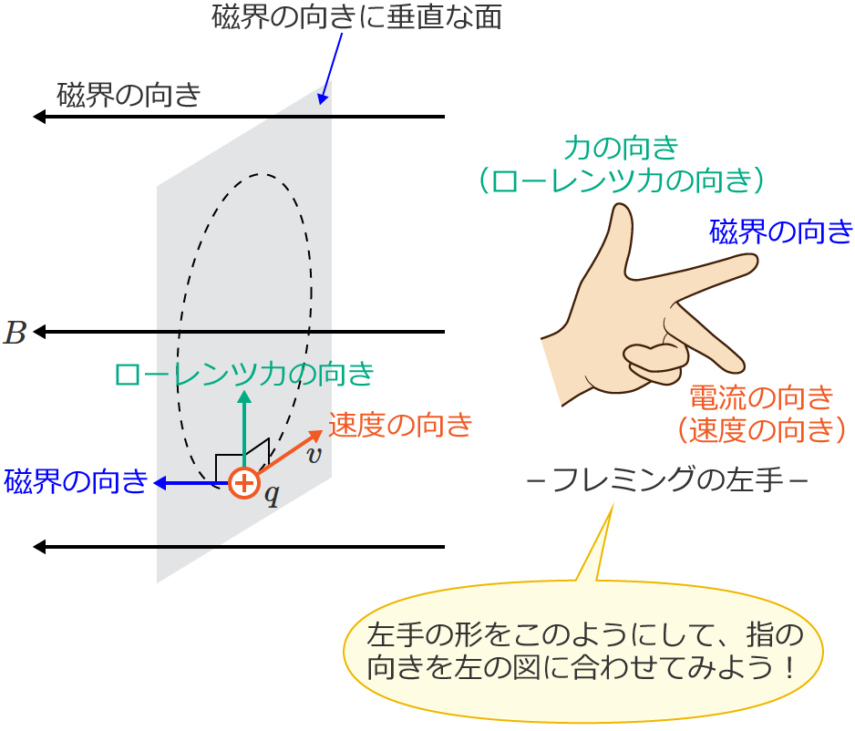 ���[�����c�͂̌���