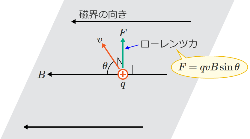 ���[�����c�͂̑傫��