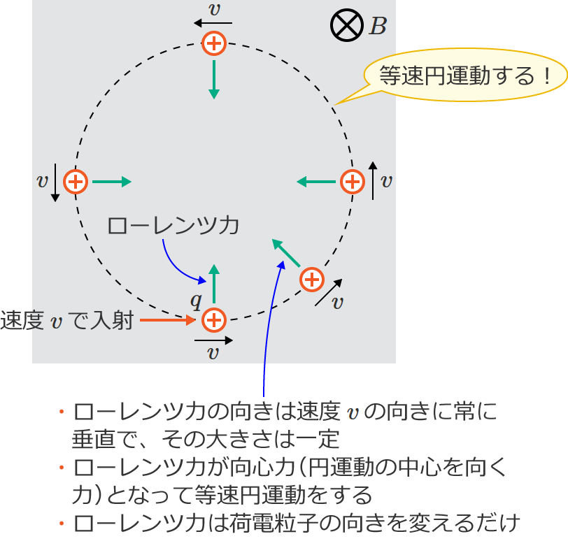 ���[�����c�͂ɂ�铙���~�^��