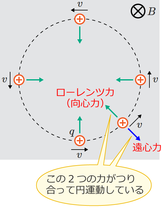 ���[�����c�͂Ɖ��S�͂��荇��