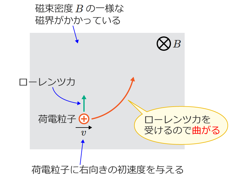 ���[�����c��