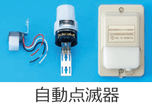 �����_�Ŋ�