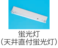 �u�����i�V�䒼�t�u�����j