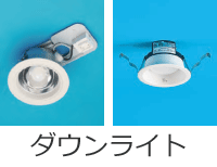 �_�E�����C�g�i�������j