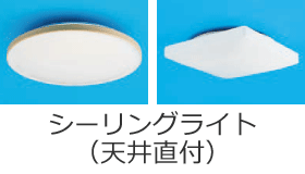 �V�[�����O�i�V�䒼�t�j