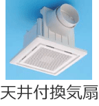 �V��t���C��